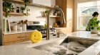 Scrub Daddy: The Smiling Sponge That Scrubbed Its Way to $926 Million